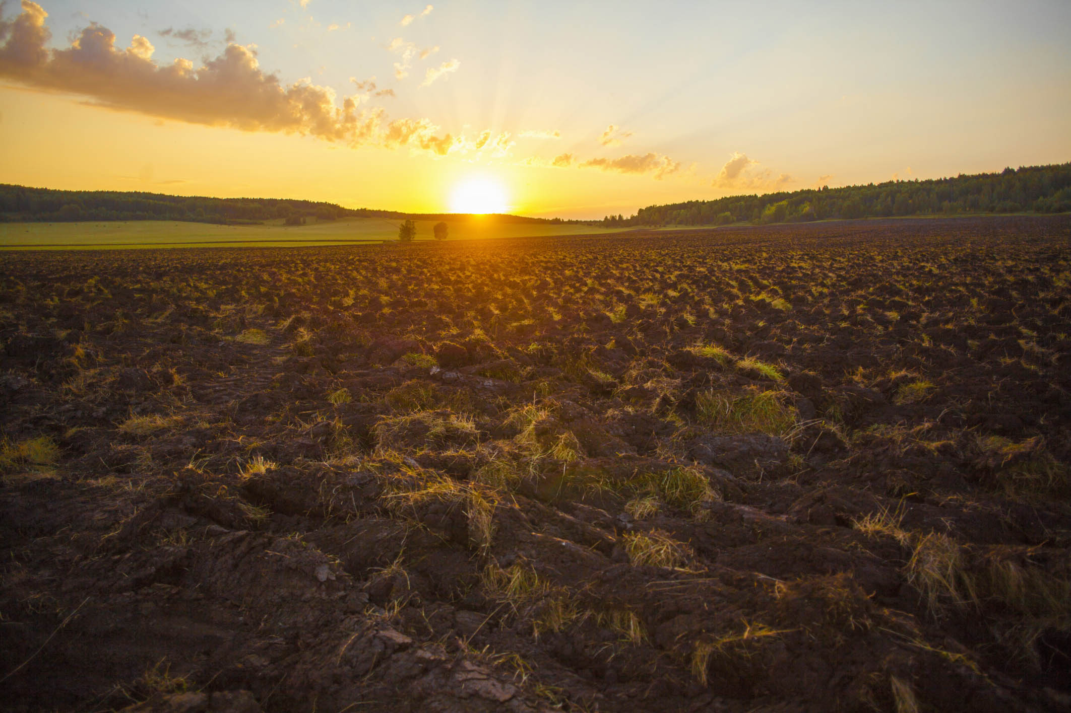 朱南文：城镇污泥处理处置之道